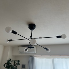 シーリングライト　カーディナル
