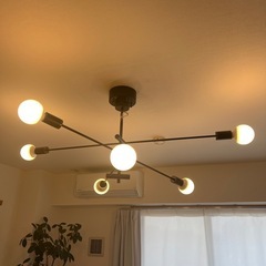 シーリングライト　カーディナルの画像