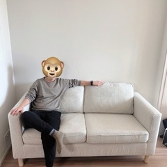 Free 2 seater sofa and chair