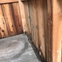 決まりました　駆逐してきている小屋を補修していただける人いませんか？の画像