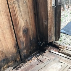 決まりました　駆逐してきている小屋を補修していただける人いませんか？の画像