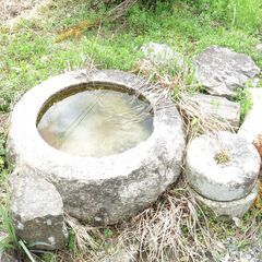 庭木と庭石　引き取りに来られる方のみの画像