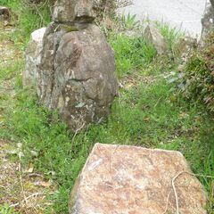 庭木と庭石　引き取りに来られる方のみの画像