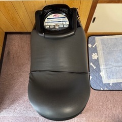 アルインコ　カウボーイの画像