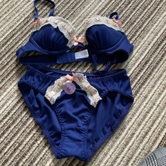 女性　下着　ブラジャーショーツセット　B70
