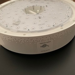 アラジンの画像