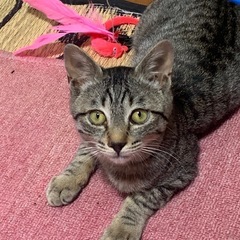 里親様決まりました！