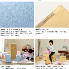 セルタンプレイクッションの画像