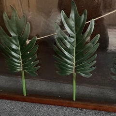 壁掛け装飾品の画像