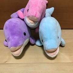 イルカぬいぐるみの画像