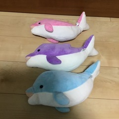 イルカぬいぐるみの画像