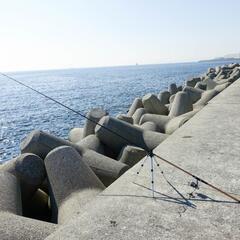 釣り竿、釣り道具、釣り用品、ルアー、疑似餌、網