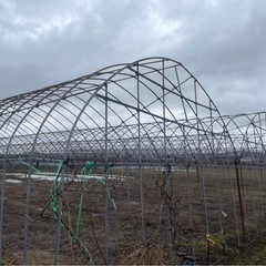 農業用連棟ハウス（決まりました）