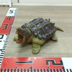 0404-006 ワニガメ　フィギュア　