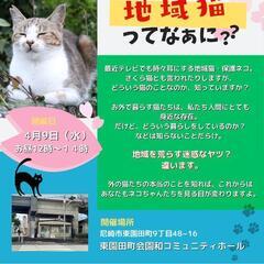 野良猫でお困りの方、猫についての勉強会・相談会に是非ご参加ください