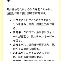⭕️🔴【野草料理の試作をお手伝いしてくださる方と繋がりたい】 − 富山県