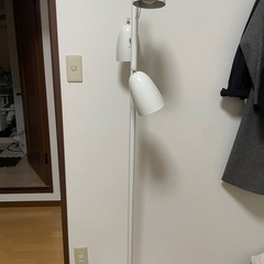 スタンドライト