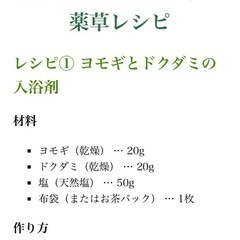 ⭕️🔴【野草料理の試作をお手伝いしてくださる方と繋がりたい】 - メンバー募集