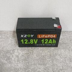 0404-055 XZnY LiFePO4 12.8V 12Ah...