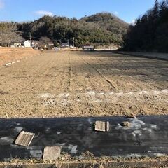 №I553【岡山県井原市美星町】農地3筆あげます！ - 不動産