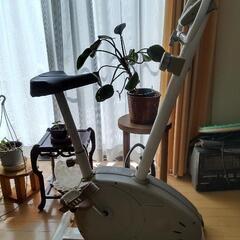 エアロバイク フィットネスバイク 運動マシン VIGOMAX