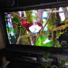 ソニー　BRAVIA ＫＪ－75X8000