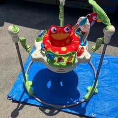 レインフォレスト・ジャンパルーの画像