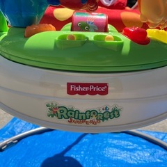 レインフォレスト・ジャンパルーの画像