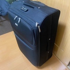 アクタス，巨大キャリーケース