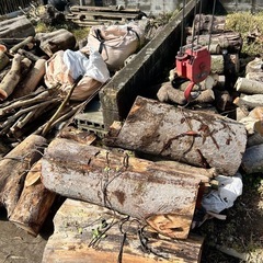 原木でました。
の画像