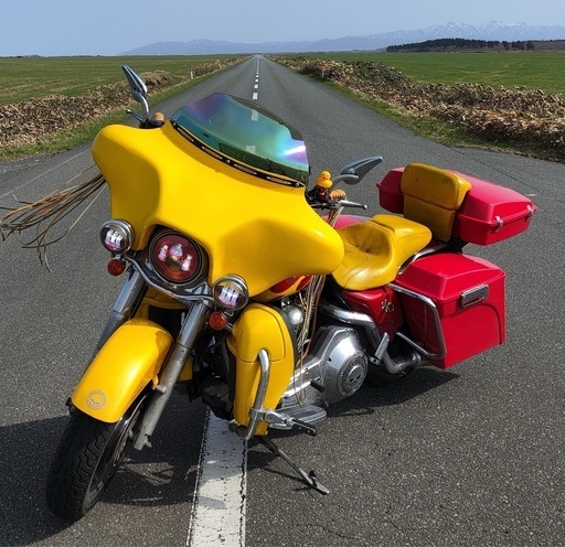 【最終値下げ】⭐️ハーレーロードキング⭐️