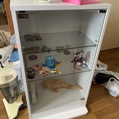 コレクションケース 