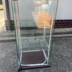 コレクションケース　ショーケース