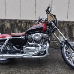 ハーレーダビッドソンXL1200C.カスタム車