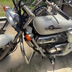 マグナ 250 V-Twin Magna/Sの画像