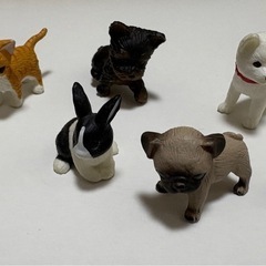 リカちゃん☆わくわくペットランドの画像