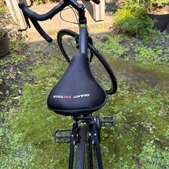 GIANT ESCAPE ロードバイクの画像