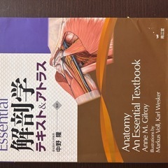 解剖学アトラス