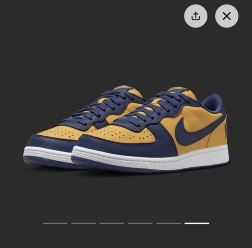 ナイキ　ターミネーター