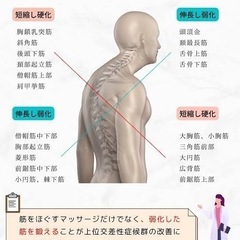 月曜日、木曜日限定1人1人に寄り添ったパーソナルトレーニング！の画像