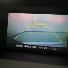 いい顔つき😑の画像