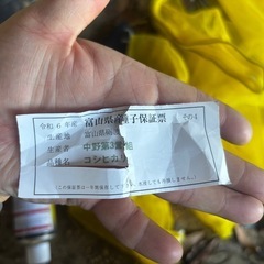 【残り5】富山県産コシヒカリ種籾4kgの画像