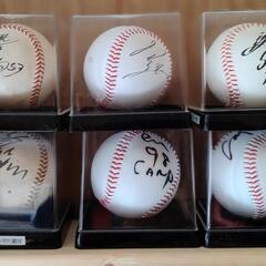 CARPサインボール20個セットの画像