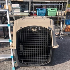 🌸大型犬ゲージ🌸