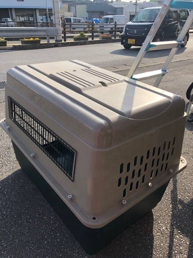 ?大型犬ゲージ?