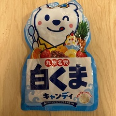シロクマ🐻‍❄️キャンディ