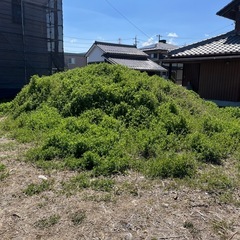 盛土用【残土あげます。5／31まで】