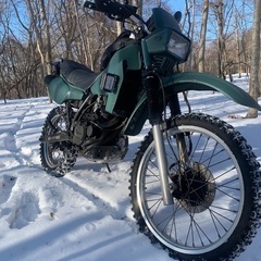 カワサキKLR250 実働　試乗可