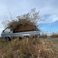 竹、木、草の処分🪵お任せ下さい！ - 地元のお店