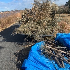 竹、木、草の処分🪵お任せ下さい！ − 千葉県